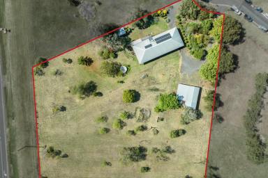 Farm Sold - QLD - Vale View - 4352 - Expansive Homestead with Wrap around Verandahs on 9793m2 - Approx. 2.5 Acres!  (Image 2)