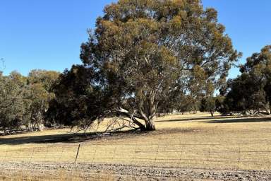 Farm Sold - WA - Tambellup - 6320 - TRANQUIL ESCAPE - SOLD BY SUZIE PERRIN  (Image 2)