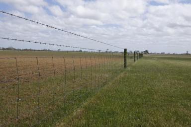Farm For Sale - VIC - Strathdownie - 3312 - Productive Grazing or Cropping Property  (Image 2)