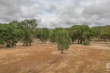 Farm Sold - WA - Coondle - 6566 - Seize Serenity: 8.25 Acres in Prime Coondle Locale  (Image 2)
