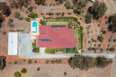 Farm Sold - WA - Northam - 6401 - Expansive 4 bedroom Property with Stunning Views, Pool, Workshop all on 7302m2!  (Image 2)