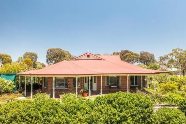 Farm Sold - WA - Northam - 6401 - Expansive 4 bedroom Property with Stunning Views, Pool, Workshop all on 7302m2!  (Image 2)
