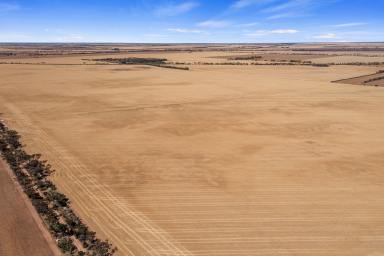 Farm For Sale - SA - Boors Plain - 5554 - 472 Acres of Productive Yorke Peninsula Cropping Land  (Image 2)