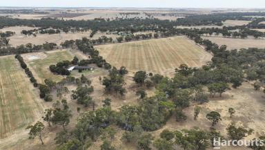 Farm Sold - VIC - Lower Norton - 3401 - Home With Creek View  (Image 2)