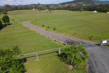 Farm For Sale - NSW - Stroud Road - 2415 - 'Meadow Bank'  (Image 2)