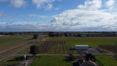 Farm For Sale - VIC - Shepparton East - 3631 - "Orchard Country"  (Image 2)