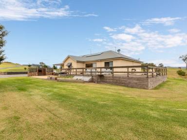 Farm For Sale - NSW - Candelo - 2550 - STUNNING VIEWS, BEAUTIFUL HOME, GREAT LOCATION!  (Image 2)