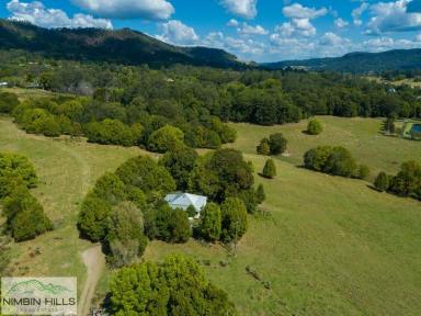 Farm For Sale - NSW - Nimbin - 2480 - 92.49 Acres of Picturesque Country Awaits  (Image 2)