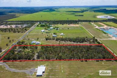 Farm Sold - QLD - Burrum River - 4659 - A chance to create your dream home amidst the whispers of the wilderness.  (Image 2)