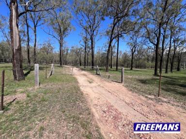 Farm Sold - QLD - Ballogie - 4610 - Fully fenced 39.58 acres, 20 m machinery shed & Steele from home.  (Image 2)