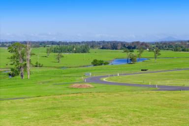 Farm For Sale - NSW - Dondingalong - 2440 - Exclusive Land Offering - Elevated, North-Facing Property!  (Image 2)