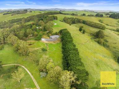 Farm For Sale - VIC - Foster - 3960 - Country Homestead with Acreage and Views  (Image 2)