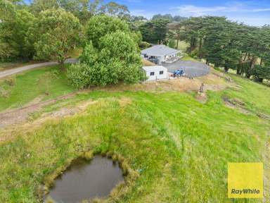 Farm For Sale - VIC - Foster - 3960 - Country Homestead with Acreage and Views  (Image 2)