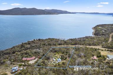 Farm For Sale - TAS - Alonnah - 7150 - Picturesque & Healthy Seaside Living with Superb Water Views!  (Image 2)