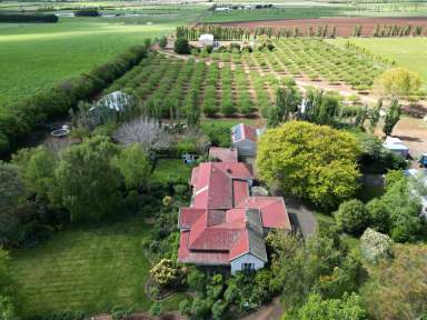 Farm For Sale - TAS - Hagley - 7292 - Beautiful, Alluring "Hazelbrae" of Hagley  (Image 2)