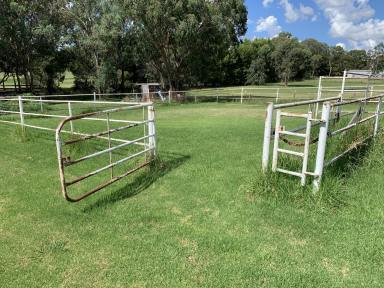 Farm For Sale - NSW - Young - 2594 - TROTTING TRACK RIGHT NEXT DOOR  (Image 2)
