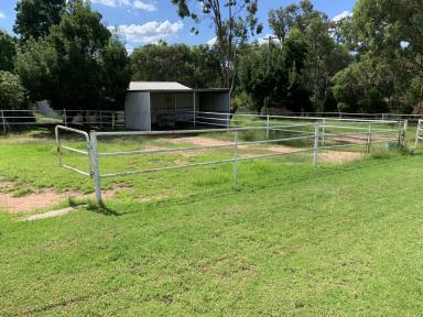 Farm For Sale - NSW - Young - 2594 - TROTTING TRACK RIGHT NEXT DOOR  (Image 2)