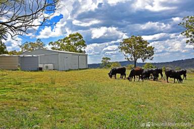 Farm For Sale - QLD - Dalveen - 4374 - “BEN BRAE” -  PANORAMIC VIEWS IN A CONVENIENT LOCATION  (Image 2)