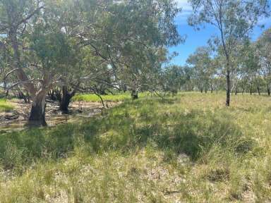 Farm Sold - NSW - Trangie - 2823 - Receivers' Sale  (Image 2)