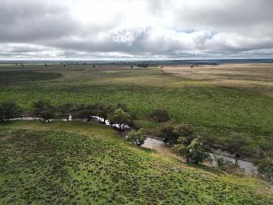 Farm Sold - NSW - Trangie - 2823 - Receivers' Sale  (Image 2)