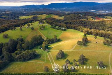 Farm For Sale - VIC - Hoddles Creek - 3139 - 'SPRINGHILL' - 65 ACRES app. OF BEAUTIFUL PASTURE AND ROLLING HILLS  (Image 2)