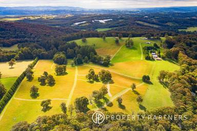 Farm For Sale - VIC - Hoddles Creek - 3139 - 'SPRINGHILL' - 65 ACRES app. OF BEAUTIFUL PASTURE AND ROLLING HILLS  (Image 2)