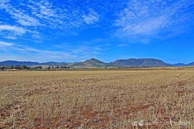 Farm For Sale - QLD - Danderoo - 4370 - 5.5 ACRES OF LEVEL LAND TO BUILD YOUR DREAM HOME!  (Image 2)