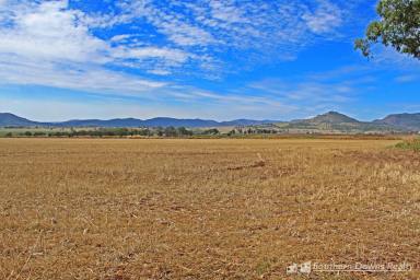 Farm For Sale - QLD - Danderoo - 4370 - 5.5 ACRES OF LEVEL LAND TO BUILD YOUR DREAM HOME!  (Image 2)