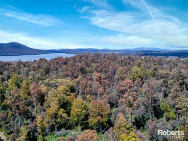 Farm Sold - TAS - Bradys Lake - 7140 - A lifetime opportunity, your own 54 acres, surrounded by lakes, in our breathtaking world renowned Central Highlands!  (Image 2)