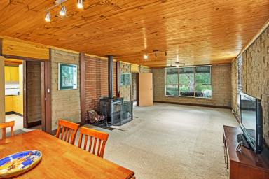 Farm For Sale - VIC - Waubra - 3352 - 1.61HA (3.98 Acres) Spacious Mud Brick Home - Great Shedding - Fantastic Setting  (Image 2)