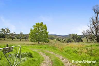 Farm For Sale - NSW - Wards Mistake - 2350 - HIGH COUNTRY HOBBY FARM  (Image 2)