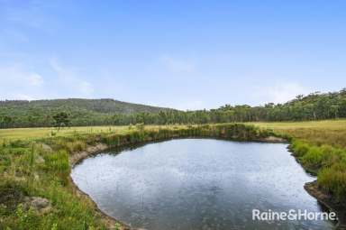 Farm For Sale - NSW - Wards Mistake - 2350 - HIGH COUNTRY HOBBY FARM  (Image 2)