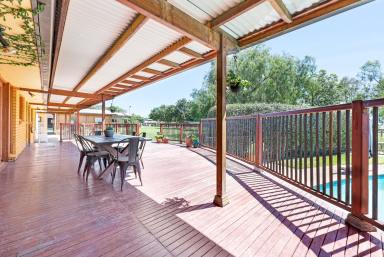 Farm Sold - NSW - Tamworth - 2340 - FIRST CLASS EQUINE PROPERTY  (Image 2)