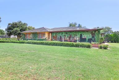 Farm Sold - NSW - Tamworth - 2340 - FIRST CLASS EQUINE PROPERTY  (Image 2)