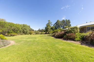 Farm For Sale - SA - Naracoorte - 5271 - Position and Potential - 5 acres with serene views  (Image 2)