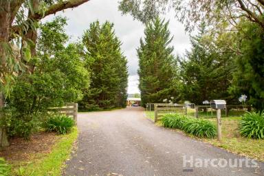 Farm Sold - VIC - Willow Grove - 3825 - A true lifestyle property with water views  (Image 2)