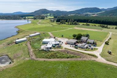 Farm For Sale - TAS - Cuckoo - 7260 - Highly Productive Dairy Nestled In The Valley  (Image 2)