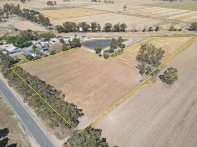 Farm For Sale - VIC - Murrabit - 3579 - Great sized block on the fringe of Town  (Image 2)