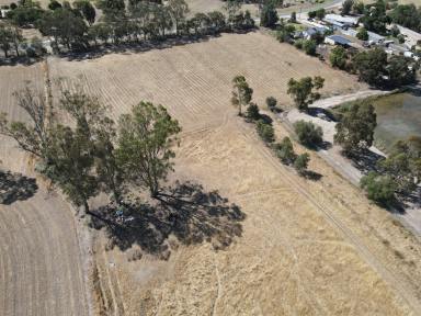 Farm For Sale - VIC - Murrabit - 3579 - Great sized block on the fringe of Town  (Image 2)