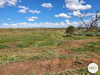 Farm Sold - VIC - Merbein South - 3505 - Start Living Your Dream on 2.5 Acres (approx.)  (Image 2)