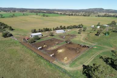 Farm Sold - QLD - Muniganeen - 4352 - KIAH MAROO
WELL IMPROVED, MIXED-USE PROPERTY WITH 2 IRRIGATION LICENCES  (Image 2)