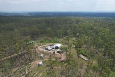 Farm For Sale - NSW - Kyarran - 2460 - Welcome to your Tranquil Retreat  (Image 2)