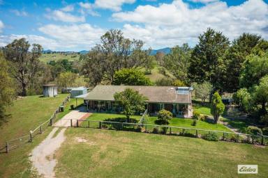 Farm Sold - NSW - Candelo - 2550 - ON THE BEND OF THE RIVER  (Image 2)