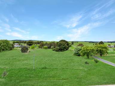 Farm For Sale - NSW - Delegate - 2633 - Destination Delegate!  (Image 2)