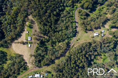 Farm For Sale - NSW - Boorabee Park - 2480 - Two distinct sides to this beautiful 100 acre lifestyle property  (Image 2)