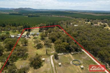 Farm For Sale - SA - Cromer - 5235 - HORSE LOVERS PARADISE, 20 ACRES, 12 PADDOCKS, BIG SHEDS AND SOLID BRICK HOME  (Image 2)