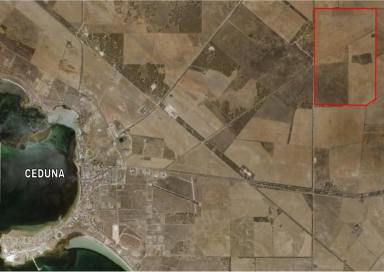 Farm Sold - SA - Ceduna - 5690 - FOR SALE - 1635 ACRES + first right to lease further 4,250ac  (Image 2)