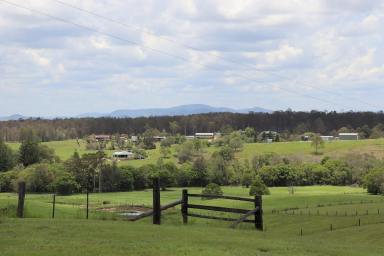 Farm For Sale - QLD - North Deep Creek - 4570 - HIDDEN PRIVATE PARADISE  (Image 2)