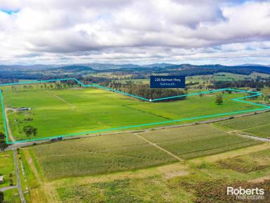 Farm For Sale - TAS - Sidmouth - 7270 - Ideal Farming - Agriculture, Horticulture, Dairy or Livestock  (Image 2)