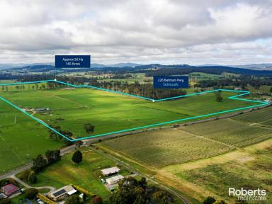 Farm For Sale - TAS - Sidmouth - 7270 - Ideal Farming - Agriculture, Horticulture, Dairy or Livestock  (Image 2)